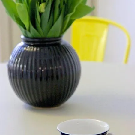 Kaunis Ydinkeskustan 公寓